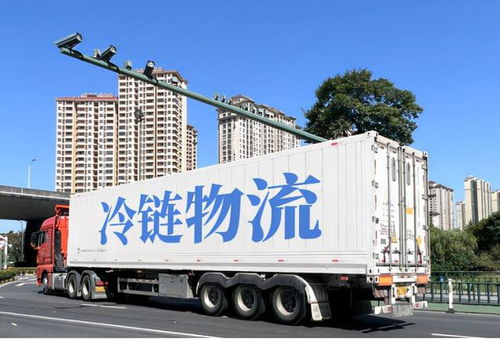 大数据背景下,农产品冷链物流模式,存在什么缺点